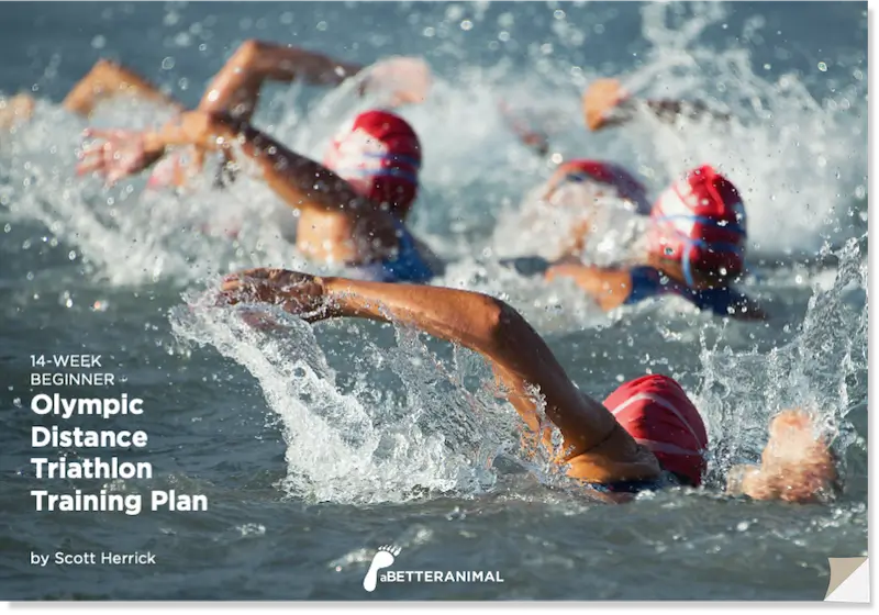 thumbnail of training plan pdf